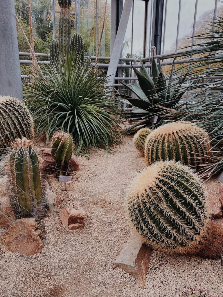 jardin botanique hortus botanicus amsterdam